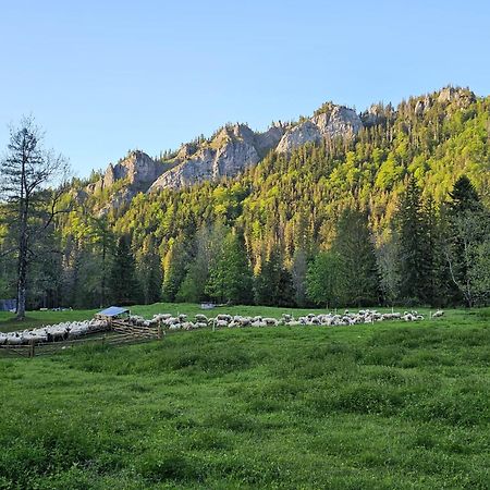 Gosciniec Kuznice Zakopane Kültér fotó