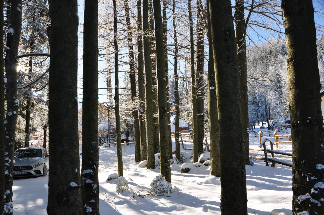 Gosciniec Kuznice Zakopane Kültér fotó