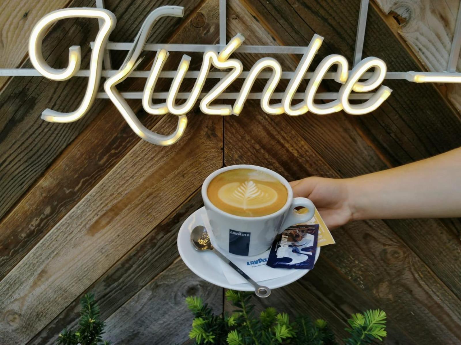 Gosciniec Kuznice Zakopane Kültér fotó