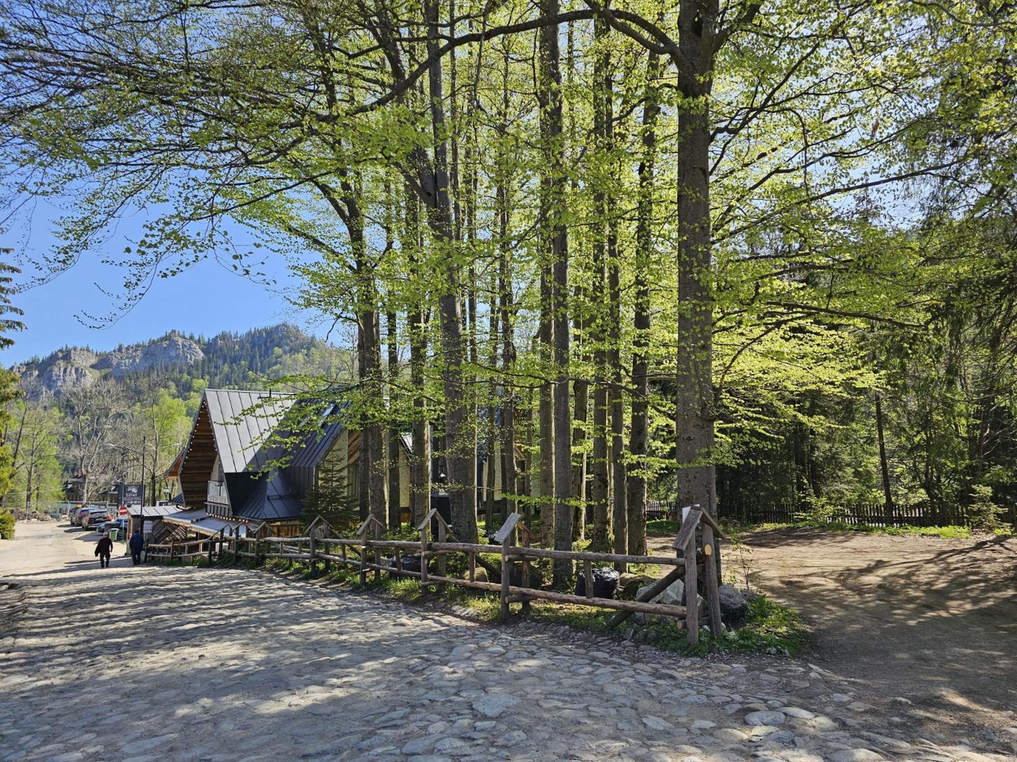 Gosciniec Kuznice Zakopane Kültér fotó